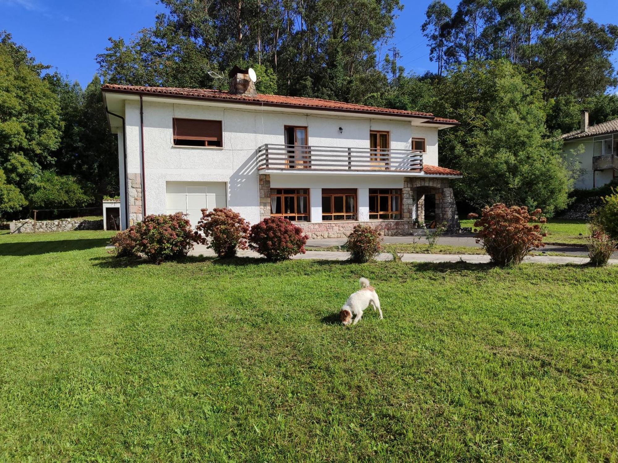 Chalet Las Llamas 라네스 외부 사진